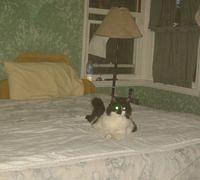 IMG_3888.JPG copy