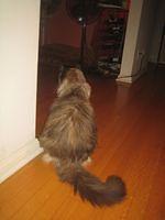 IMG_3890.JPG