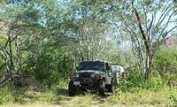 10-08 FOREST JEEP 