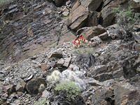 IMG_9554.JPG