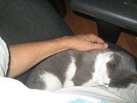 IMG_0186.JPG